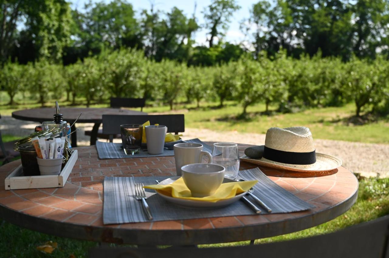 Mas De Capelou Bed & Breakfast อาวีญง ภายนอก รูปภาพ